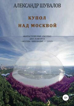 Александр Шувалов - Купол над Москвой