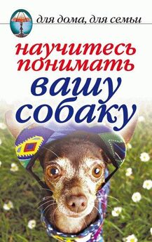 Ирина Зайцева - Дрессируем собаку