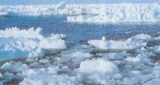 Белое море БÉЛОЕ ÓЗЕРО на западе Вологодской области в истоках реки Шексны - фото 73