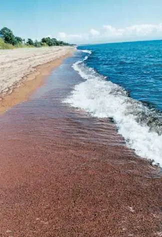 Морской берег Различные типы берегов БЕРЕГОВÓЙ КАНÁЛ искусственный водный - фото 76