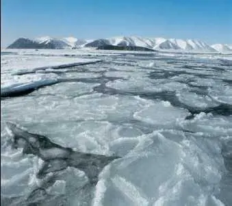 Дрейфующие льды Берингова моря ДУБРÁВЫдубняки дубовые леса вид - фото 196