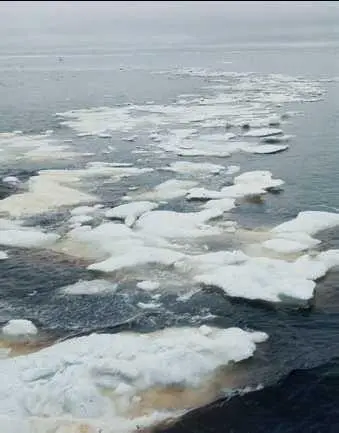 Река Енисей ЕНИСÉЙСКИЙ ЗАЛИВ на юге Карского моря между полуостровами - фото 203
