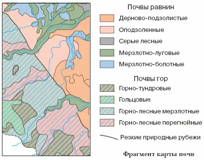 КÁРТА ПРИРÓДНЫХ ЗОН показывает распространение границы широтных - фото 262