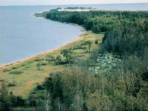 Куршский залив КУСТАНÁЙСКИЙ ЖЕЛЕЗОРУДНЫЙ БАССÉЙН в Казахстане в бассейне - фото 303