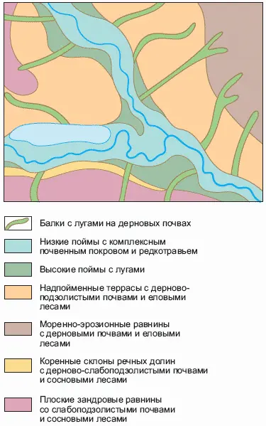 Фрагмент ландшафтной карты ЛАНДШАФТОВÉДЕНИЕ наука изучающая ландшафты как - фото 311