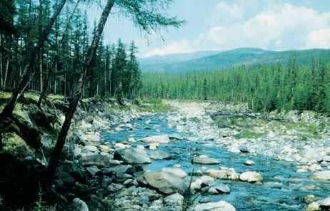 Река Витим ВИТИМСКОЕ ПЛОСКОГÓРЬЕ в Забайкалье Бурятия и Читинская обл - фото 111