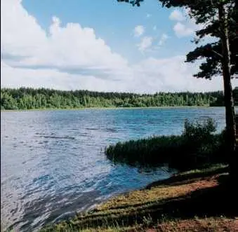 Угличское водохранилище ВОДЯНÓЙ ПАР вода содержащаяся в атмосфере в - фото 117