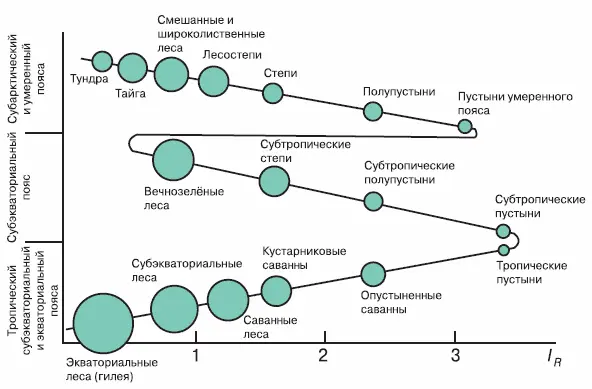 Закон географической зональностиI R радиационный индекс сухости диаметры - фото 227