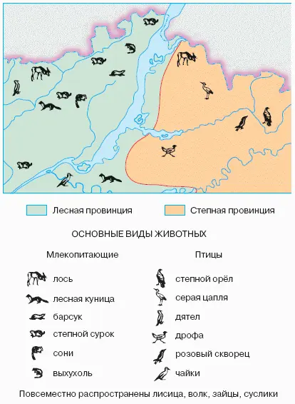 Фрагмент зоогеографической карты ЗУБОВНиколай Николаевич 18851960 - фото 228