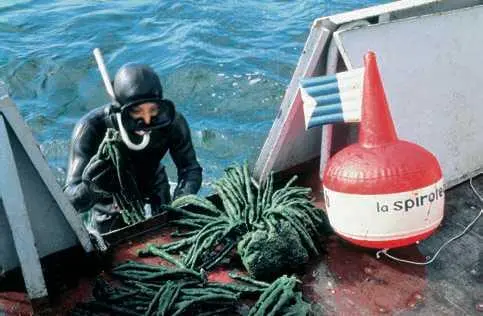 Сбор образцов фауны и флоры в океане Наука описания моря возникла очень давно - фото 55