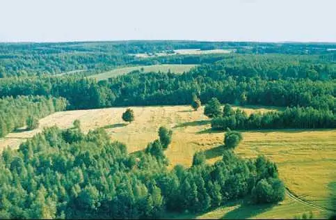 Полесье ПОЛИГОНÁЛЬНЫЕ ГРУНТЫ формы микро и мезорельефа размеры от - фото 94