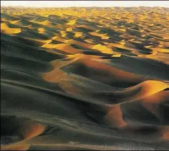 Пустыня ТаклаМакан TAКЫРЫ плоские понижения в районах распространения - фото 199