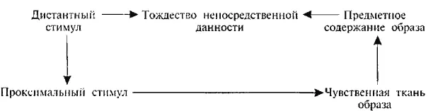 Рис 14 Построение сенсорного образа Дистантный стимул это физический - фото 14