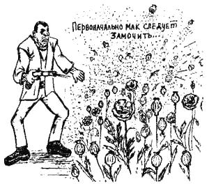 Не менее полкило а лучше более Залейте его горячей водой точнее кипятком - фото 41