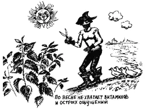 Стебли срезаются вместе с листьями и складываются в кучу Когда наберется - фото 72