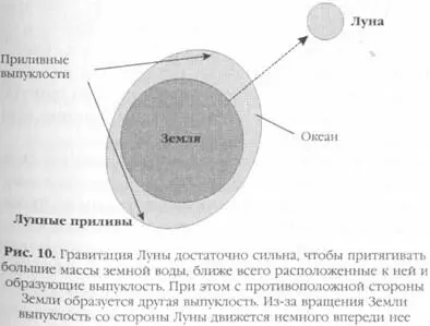 Высота приливов в любой части океана зависит от ряда факторов таких как форма - фото 10