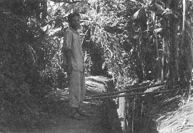 В партизанских джунглях Противотанковая засада Ханой в 1967 году - фото 18