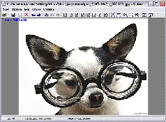 Адрес wwwuvviewsoftcom Версия 320 Размер 11 Мбайт Интерфейс многоязычный - фото 36