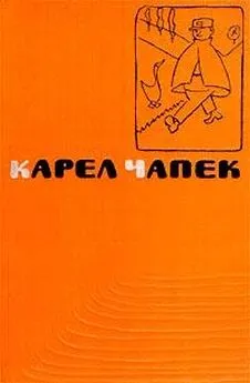 Карел Чапек - Почему терьеры роются в земле