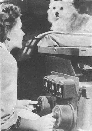 Лайка Почтовая открытка выпущенная в 1958 г 59 - фото 138