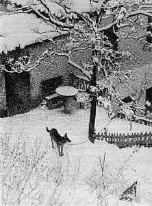 Сухой негатив на 56 с опускают в горячую воду 6070 С а затем сразу же - фото 171