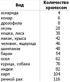 Какое из упомянутых животных примитивнее по признаку числа хромосом очень - фото 21