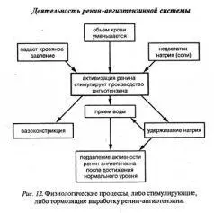 До тех пор пока количество воды и натрия сохраняется на прежнем уровне - фото 12
