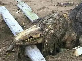 SCP682 вскоре после побега из места содержания всё ещё восстанавливается - фото 24