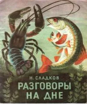 Николай Сладков - Разговоры на дне