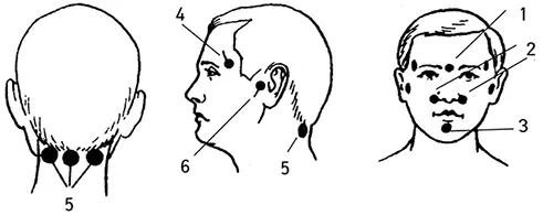 Рис 4 Биологически активные точки лица Массаж ушных раковин На ушной - фото 4