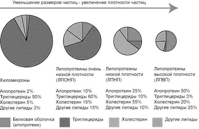 Рис 18 Четыре группы липопротеинов сердечнососудистая патология - фото 22