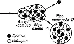 Рис 7Схема взаимодействия альфачастицы и ядра атома азота Общее число - фото 16