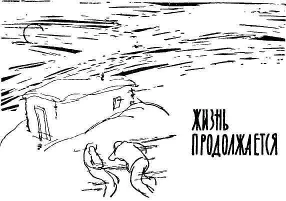 За Кудрихой стояли занесенные снегом комбайны с примерзшими к подборщикам - фото 10