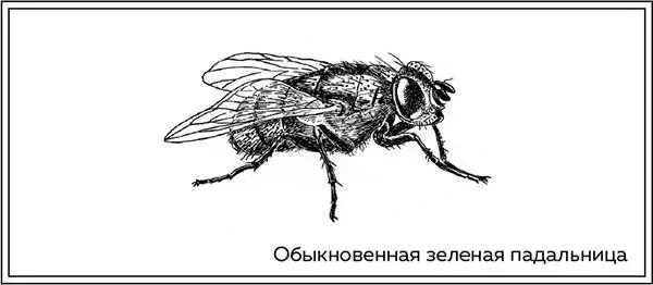 Для Центральной Европы это может показаться не такой уж серьезной проблемой но - фото 13