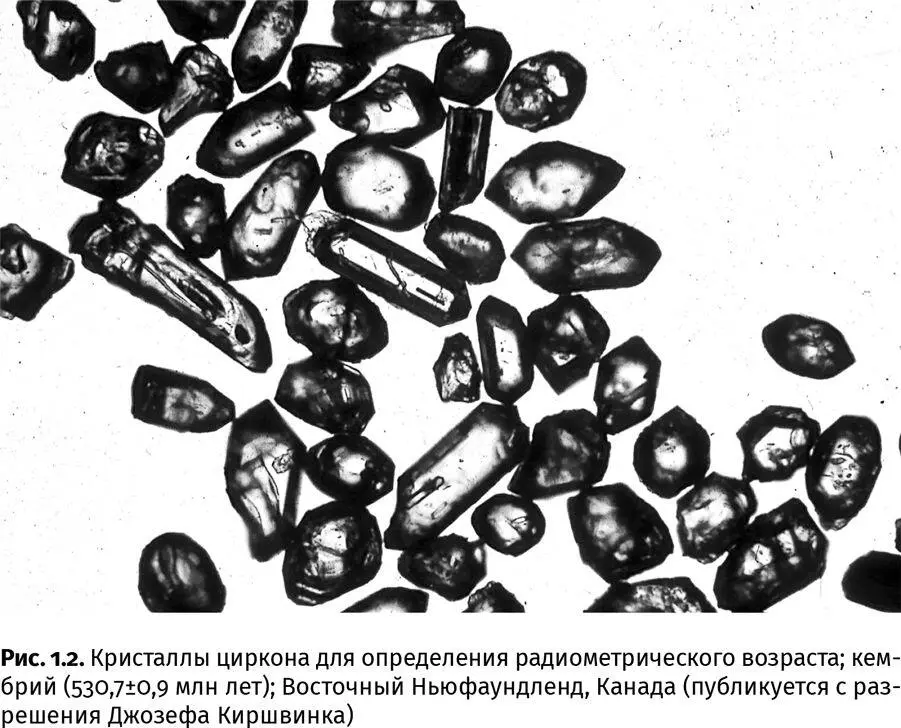 Наиболее распространенные методы радиометрического анализа радиоуглеродный в - фото 5