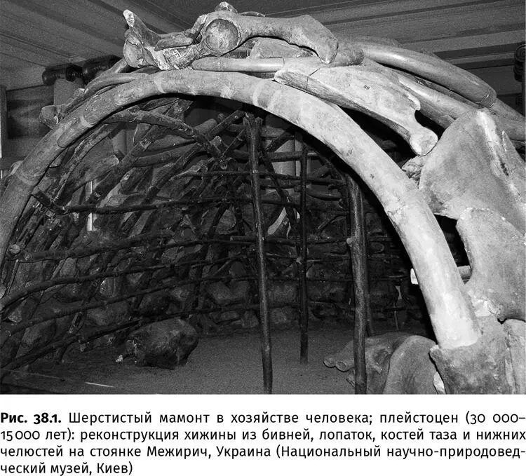 Да глобальное потепление конечно происходит но оно далеко не первое и не - фото 152