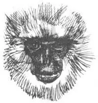 В дождевых тропических лесах жарко и очень сыро поэтому фотоаппараты и - фото 125