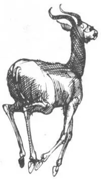 Африканцы живущие в лагере сами готовили себе пищу У каждого была - фото 128