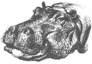 Преимущества которые дает разведение диких животных заставили некоторых - фото 131