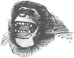 Потребность организма в жидкости в тропиках просто невероятна Както с утра я - фото 133