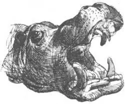 В заболоченных местах по краям больших озер растут огромные заросли - фото 134