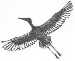 В заболоченных местах по краям больших озер растут огромные заросли - фото 135