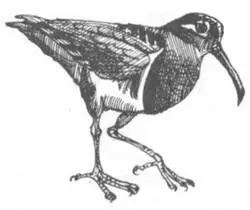 Само собой разумеется что недостаточно объявить ту или иную область - фото 158