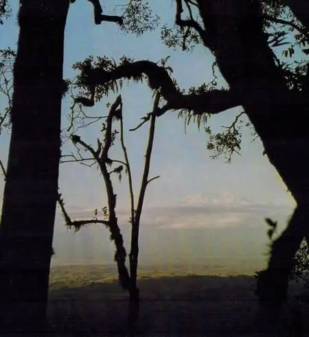 Килиманджаро после захода солнца Горячие щелочные источники у озера Магади - фото 156