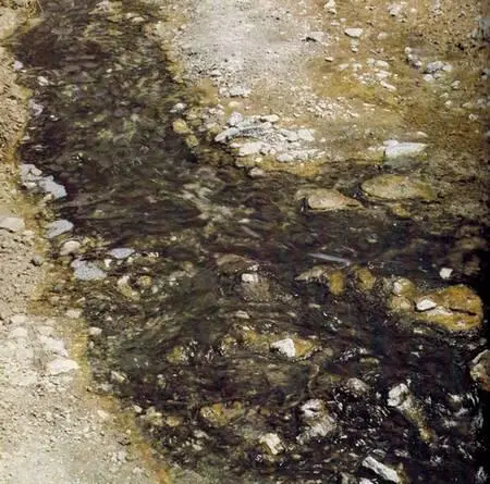 Горячие щелочные источники у озера Магади в Кении Пляска на рогах антилопы - фото 157