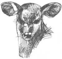 Сонную болезнь вызывает микроскопический паразит трипоносома переносчиком - фото 161