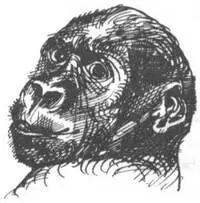 Я описал только те травмы изза которых я некоторое время не мог работать и - фото 228