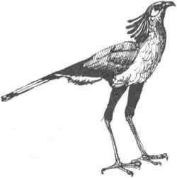 Кладбище в буше На террасе крошечного кафе в Найроби я распространялся Типпу о - фото 229