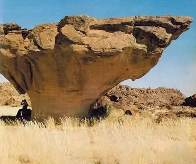 Камни причудливая форма которых обусловлена деятельностью воды На боковых - фото 245