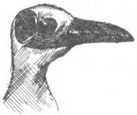 Неотразимый Моторы джипов ревут кузовы их дрожат напоминая скаковых лошадей - фото 249